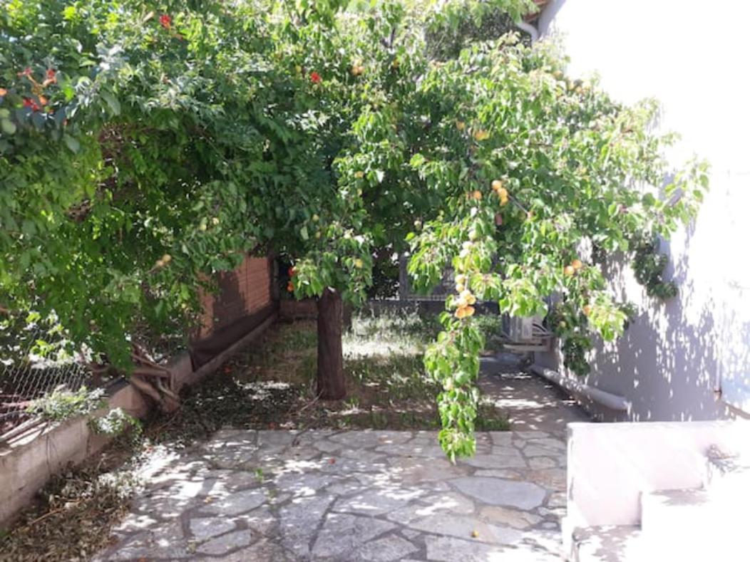 Le Galli En Plein Coeur De Sanary Esterno foto